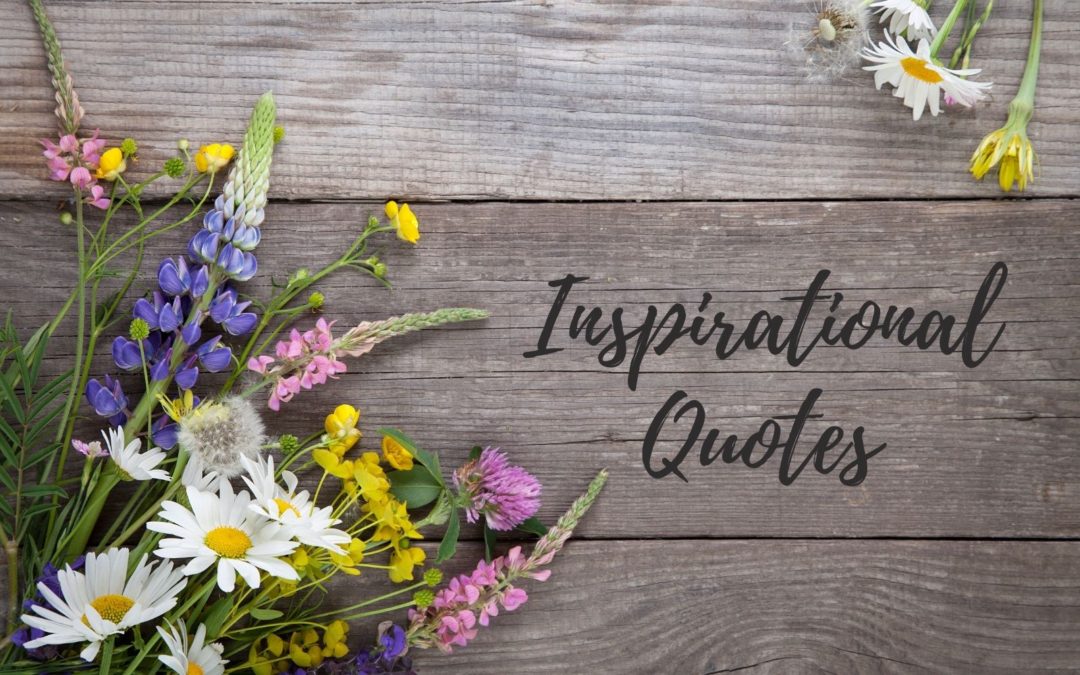 Inspirational Quotes about Simplifying & Being Organized