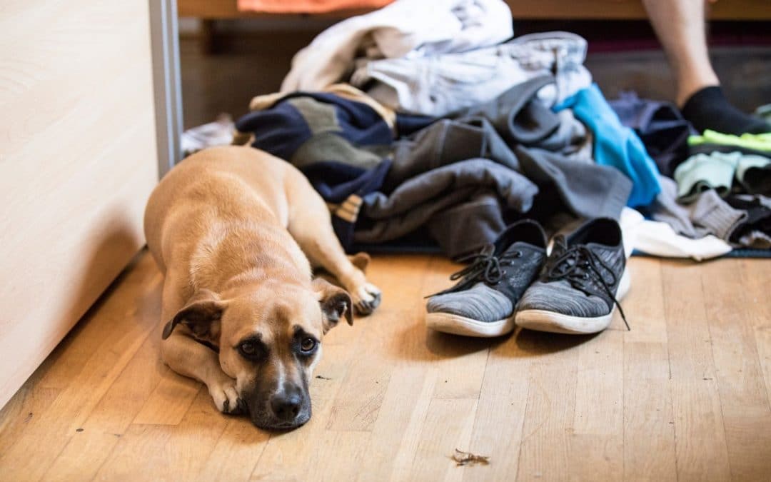 5 reasons you have a messy room