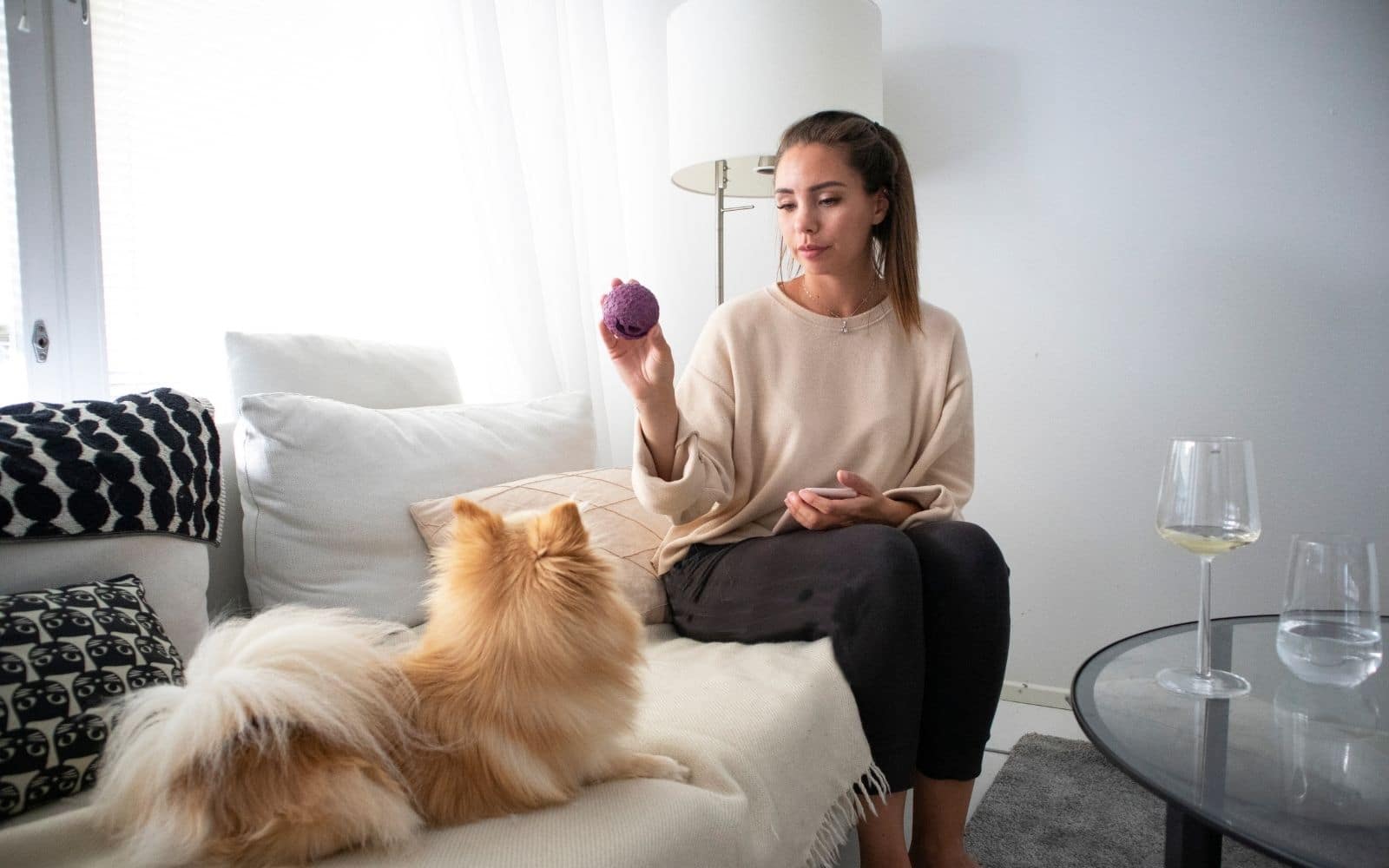 Pet owner playing ball with dog